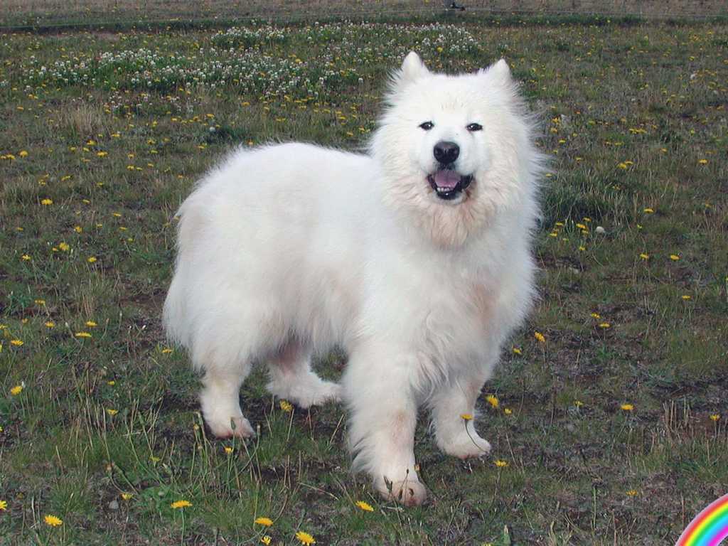 040707-Cassie