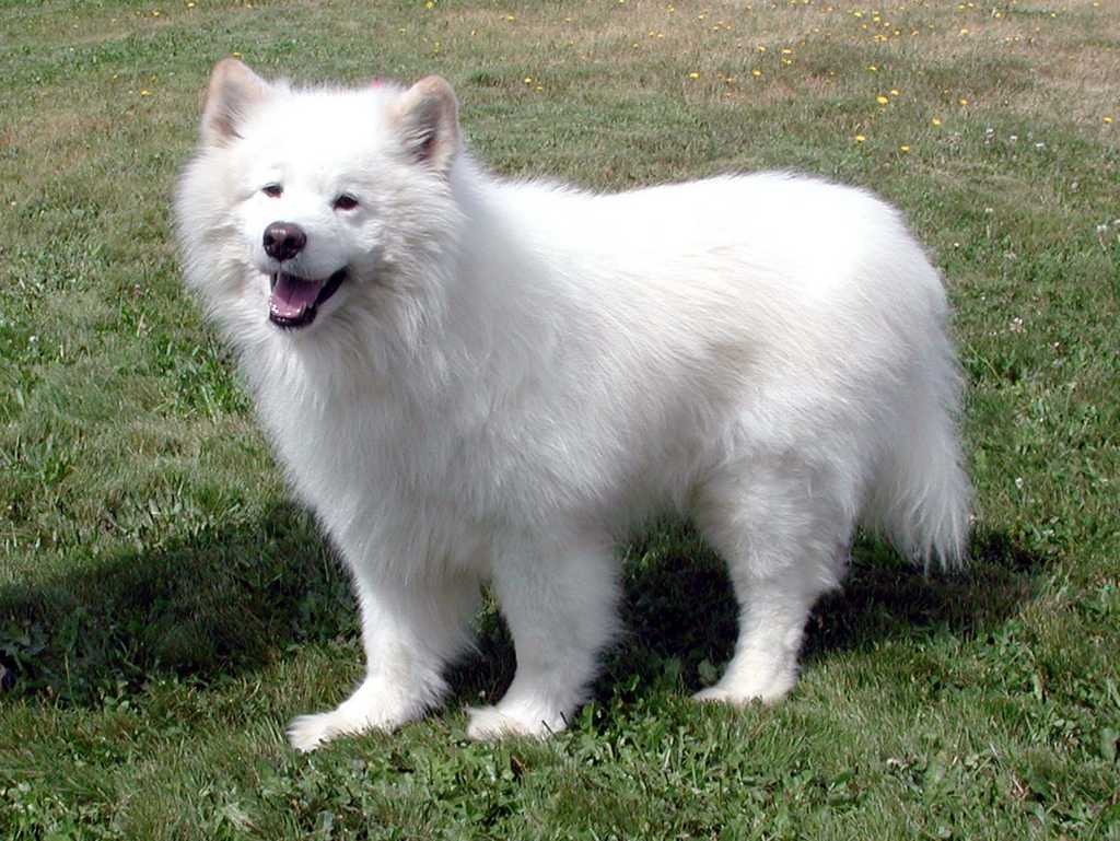 050702-Finnegan
