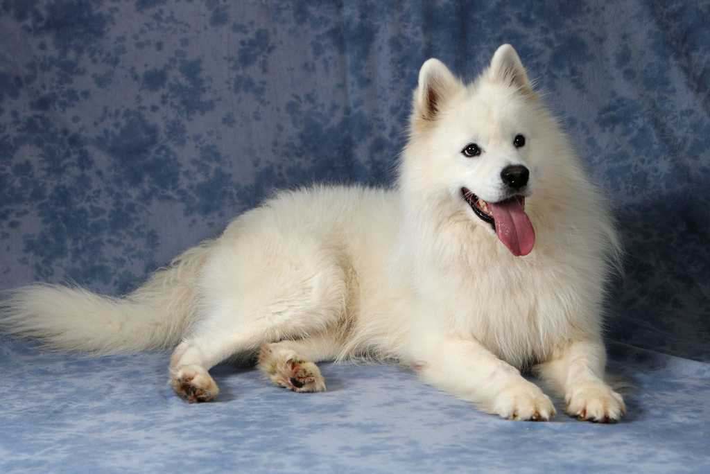 081007-Cody