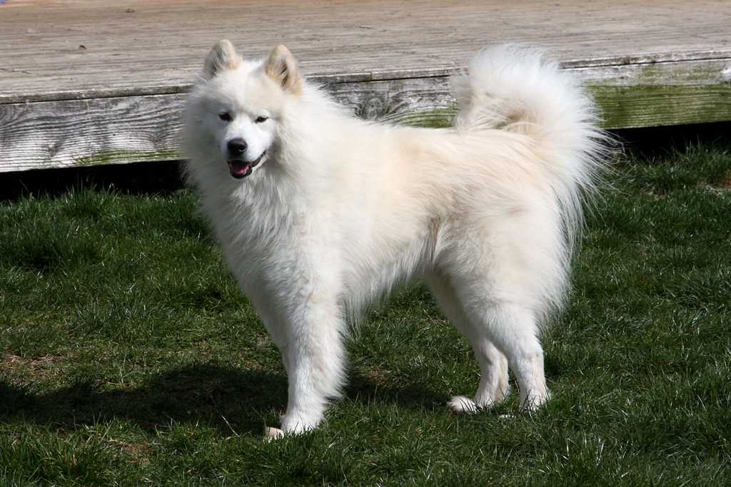 090329-Cody