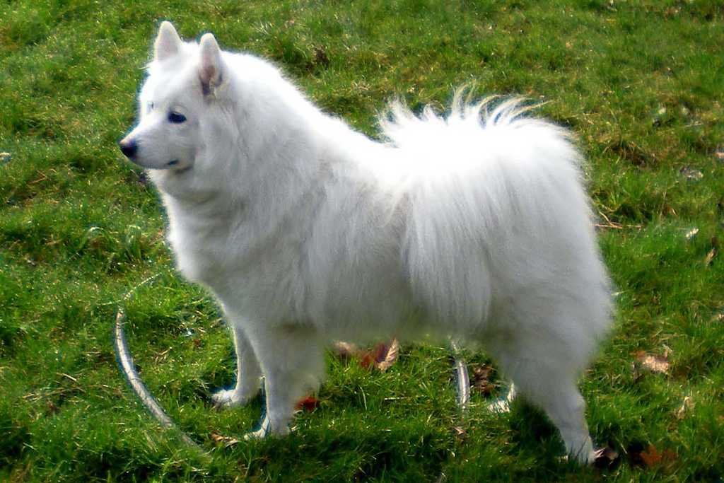100307Freya
